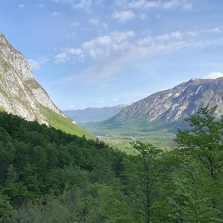 Apartments & Rooms Stare Bohinj Eksteriør bilde