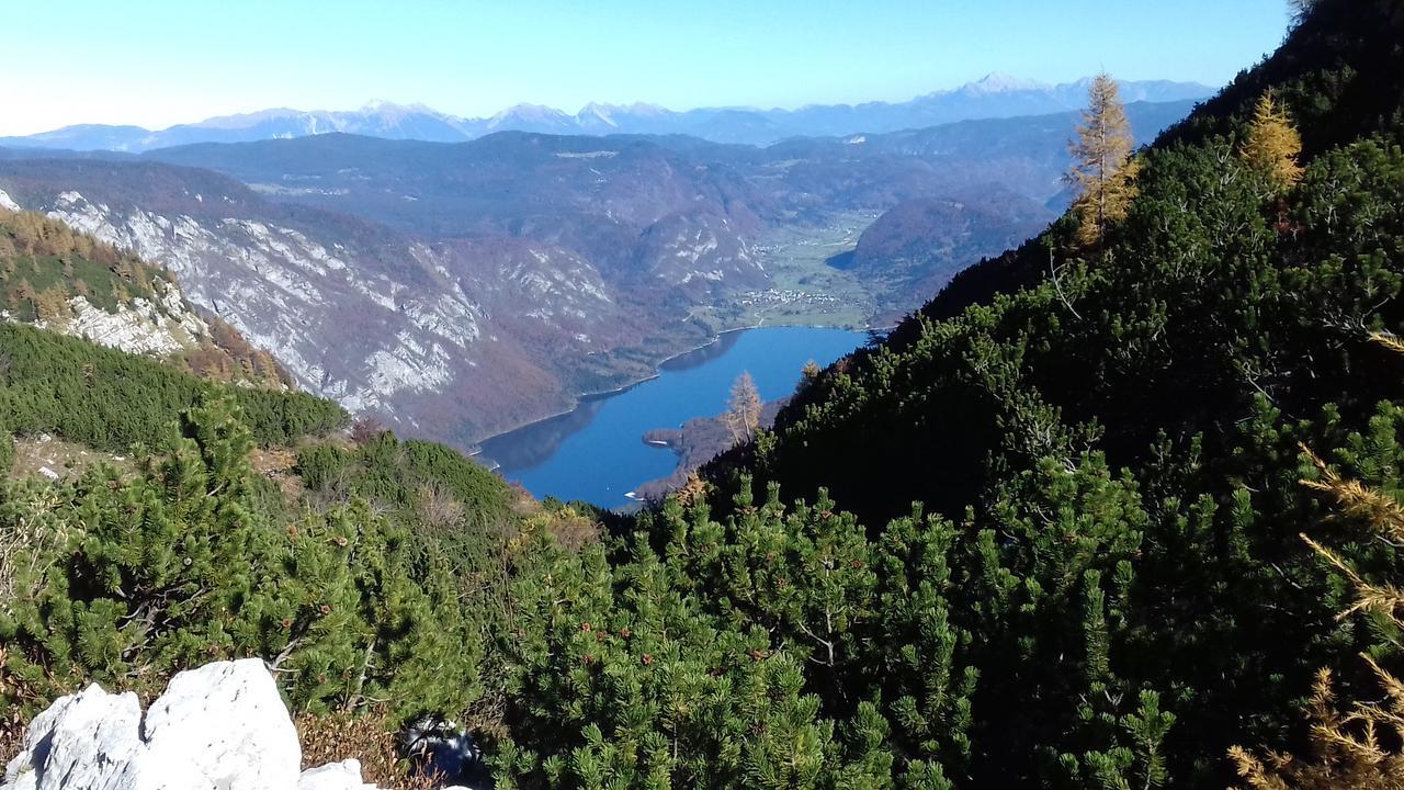 Apartments & Rooms Stare Bohinj Eksteriør bilde