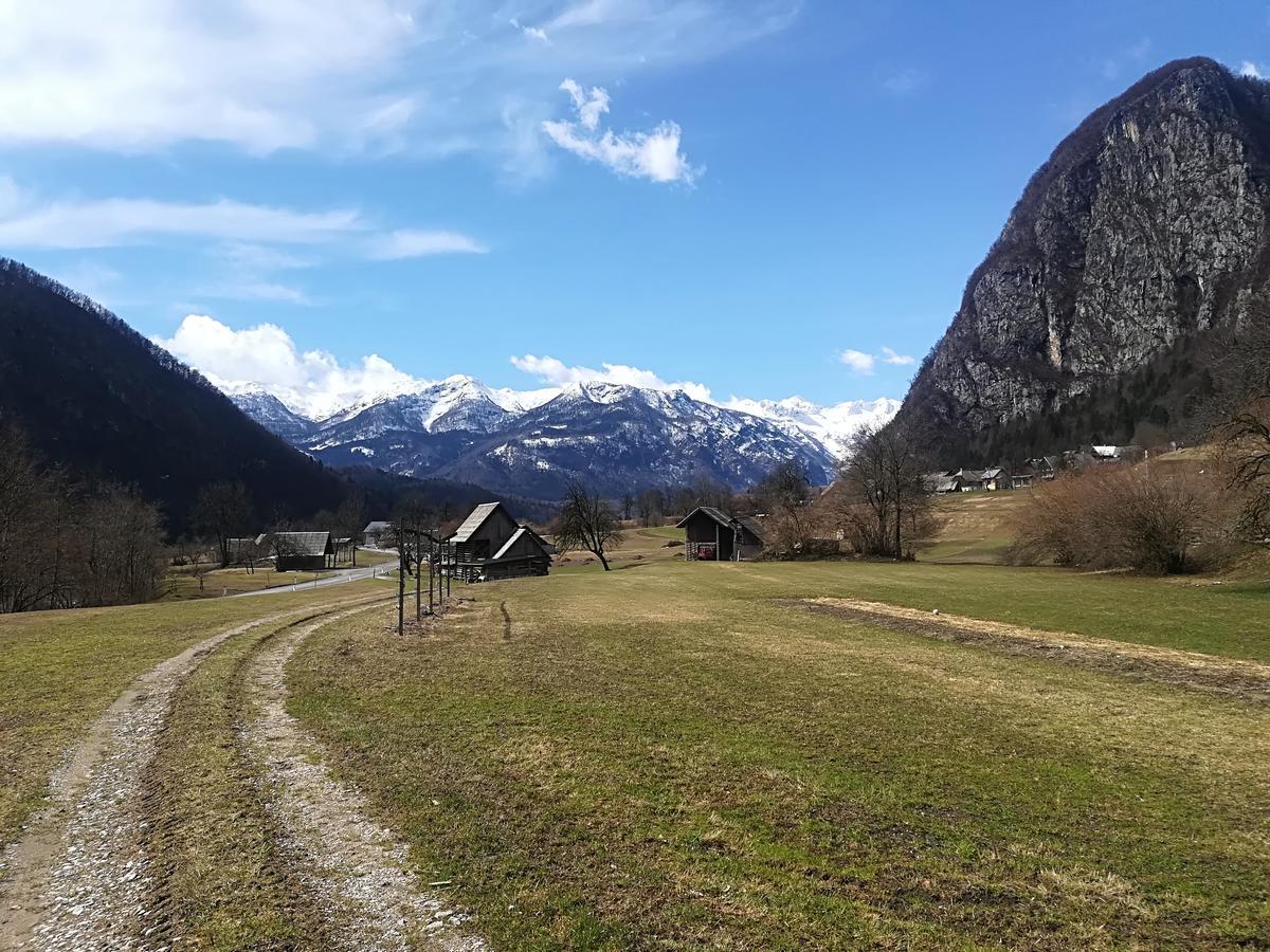 Apartments & Rooms Stare Bohinj Eksteriør bilde