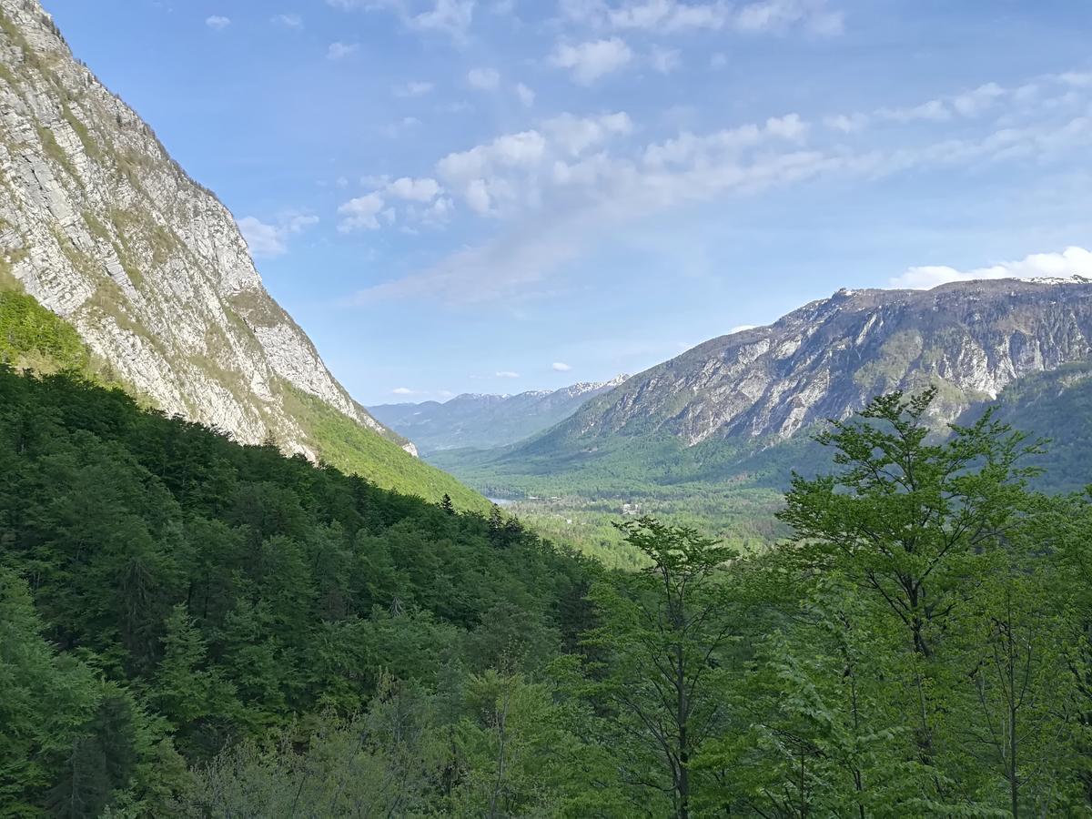 Apartments & Rooms Stare Bohinj Eksteriør bilde